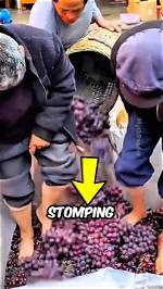 Why Do They Stomp Grapes?