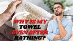Why Do Towels Get Pulls