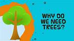 Why Do Trees Not Touch