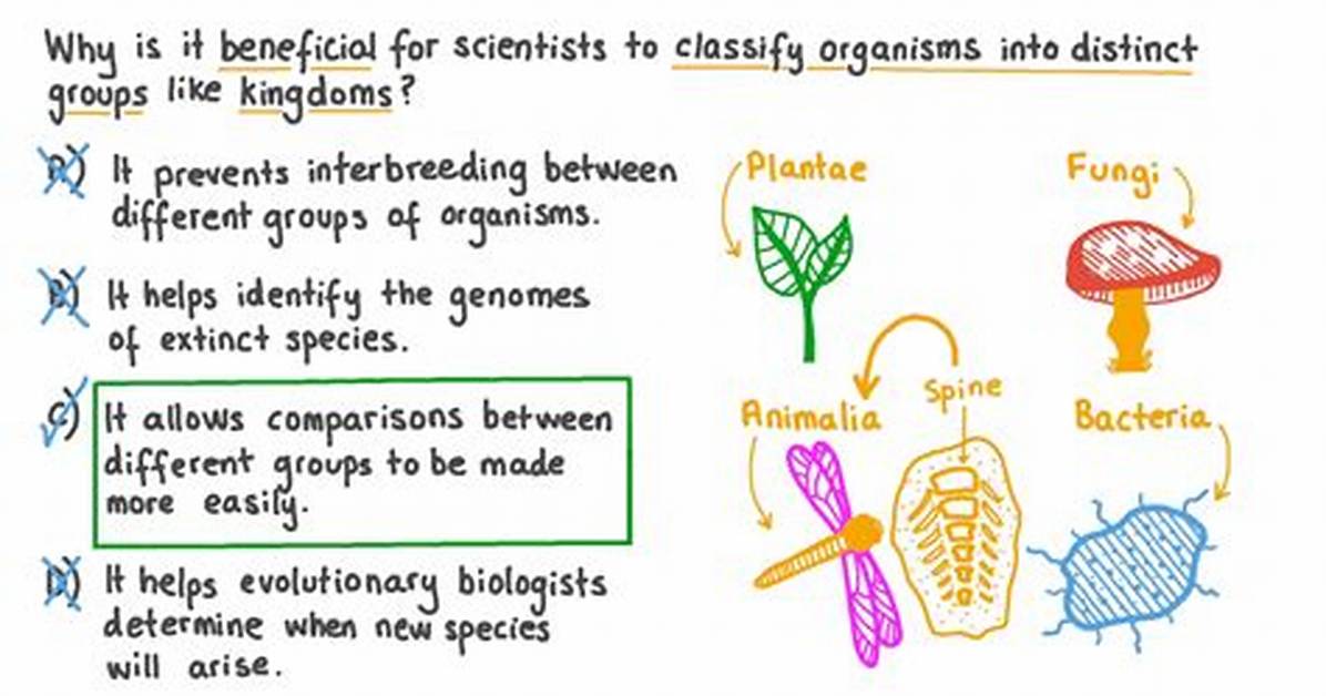 Why Do We Classify Organisms?