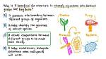Why Do We Classify Organisms?
