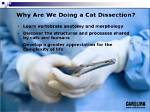 Why Do We Dissect Cats
