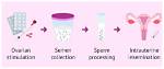 Why Do We Inseminate?