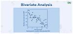 Why Do We Need Bivariate Analysis?
