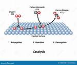 Why Do We Need Catalysts?