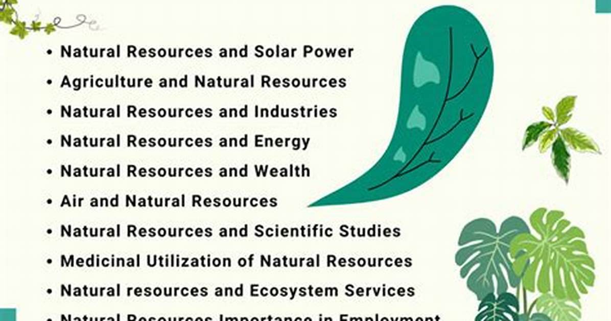 Why Do We Need Resources?