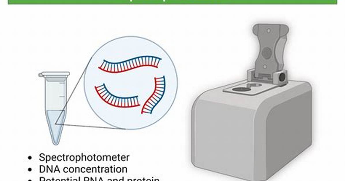 Why Do We Quantify Dna?