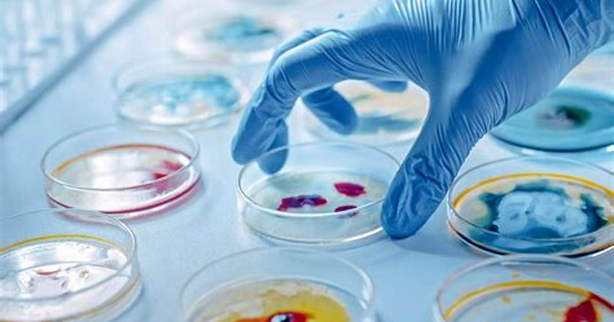 Why Do We Study Bacteriology?