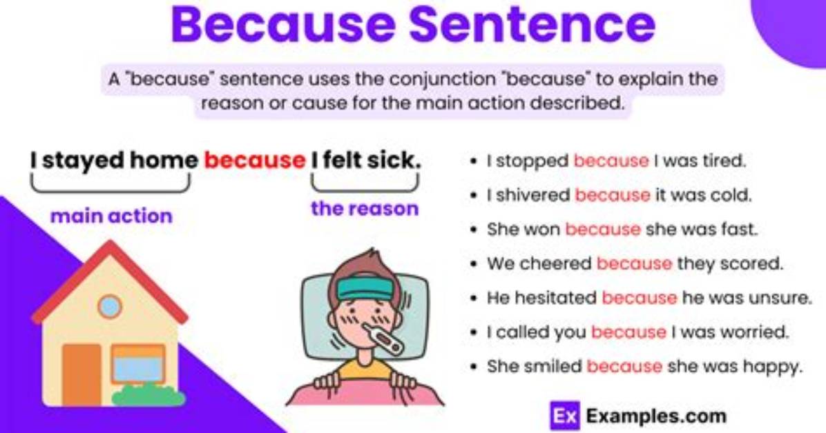 Why Do We Use Because?