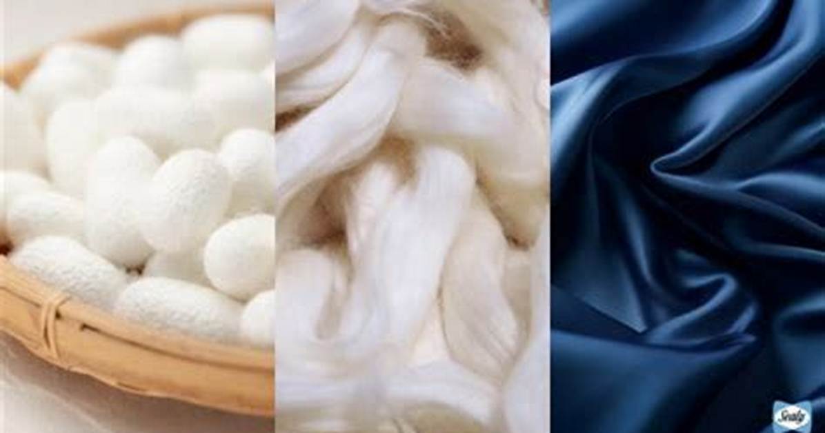 Why Do We Use Silk?