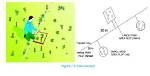 Why Do We Use Transect Lines?