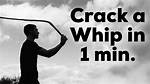 Why Do Whips Crack?