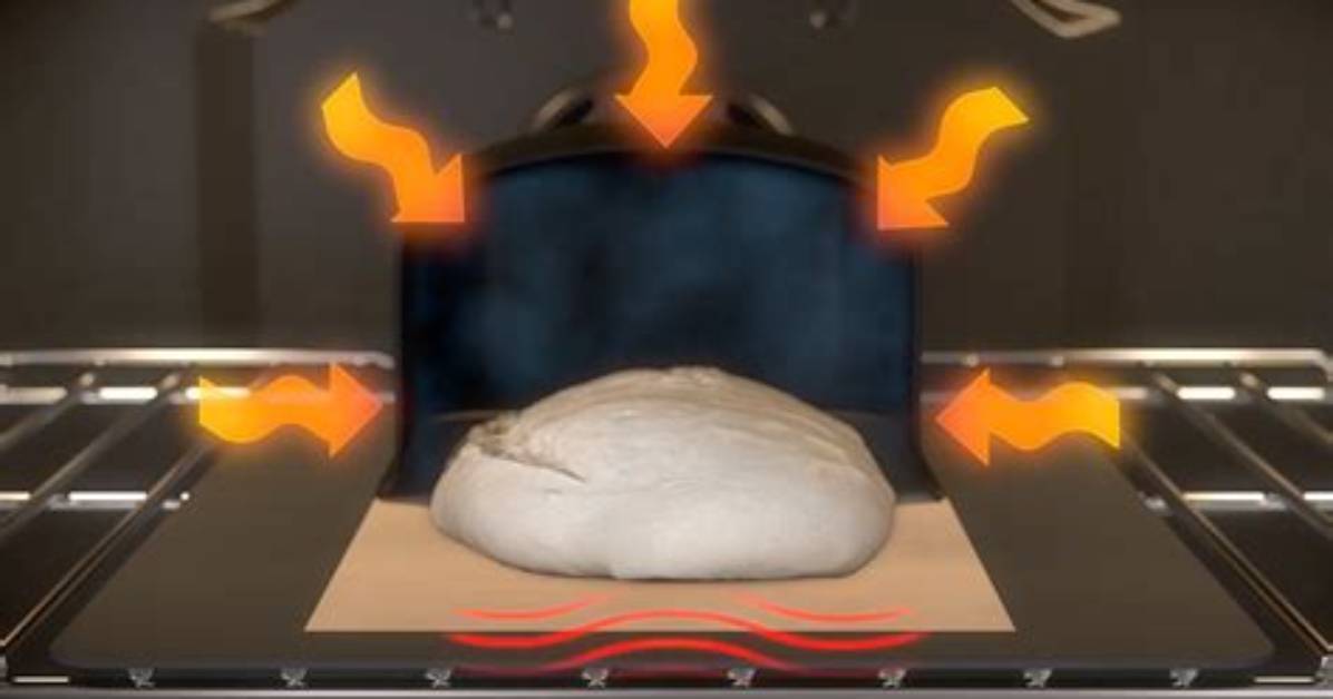 Why Do You Steam Bread?