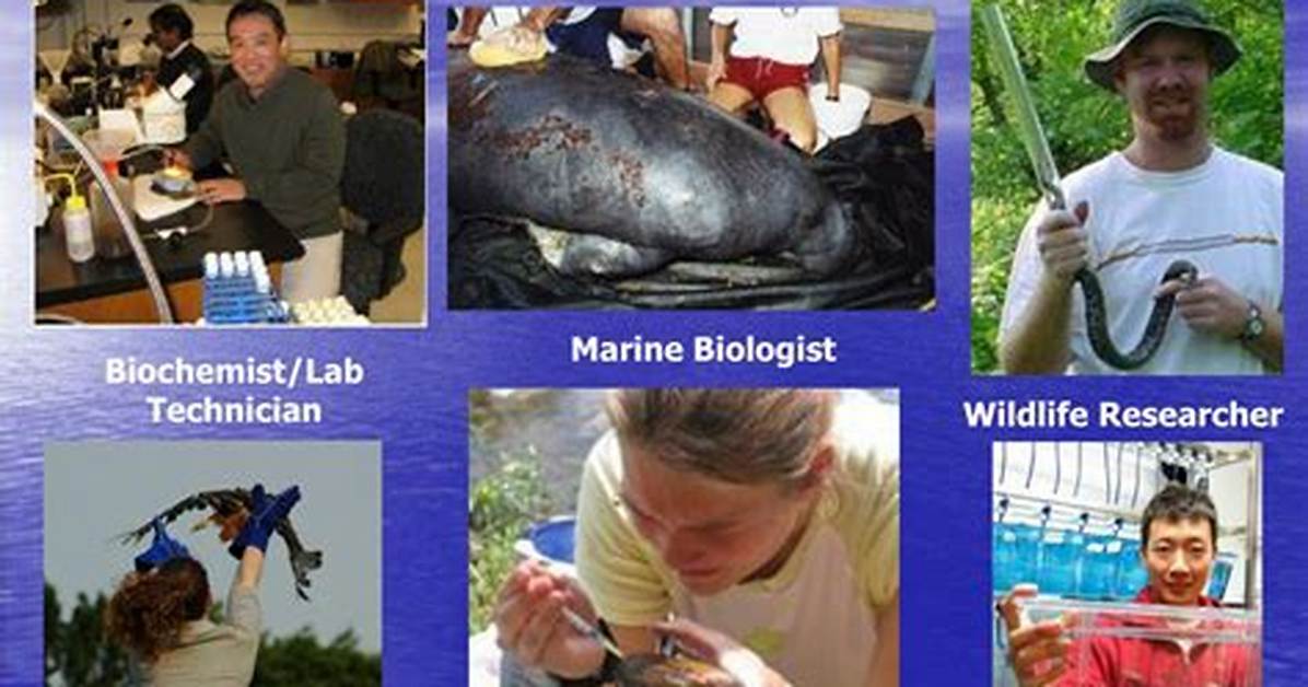 Why Do Zoologists Study Animals?