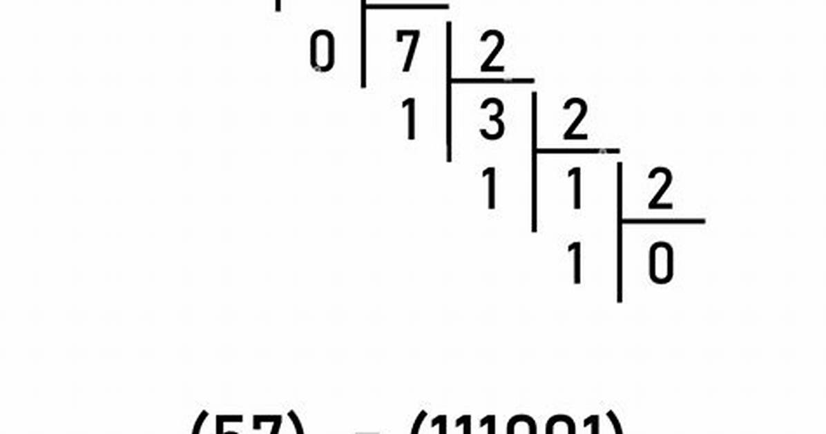 Why Does 1 / 2 == 0 Using Double? [Duplicate]