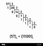 Why Does 1 / 2 == 0 Using Double? [Duplicate]