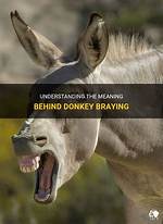Why Does a Donkey Bray?