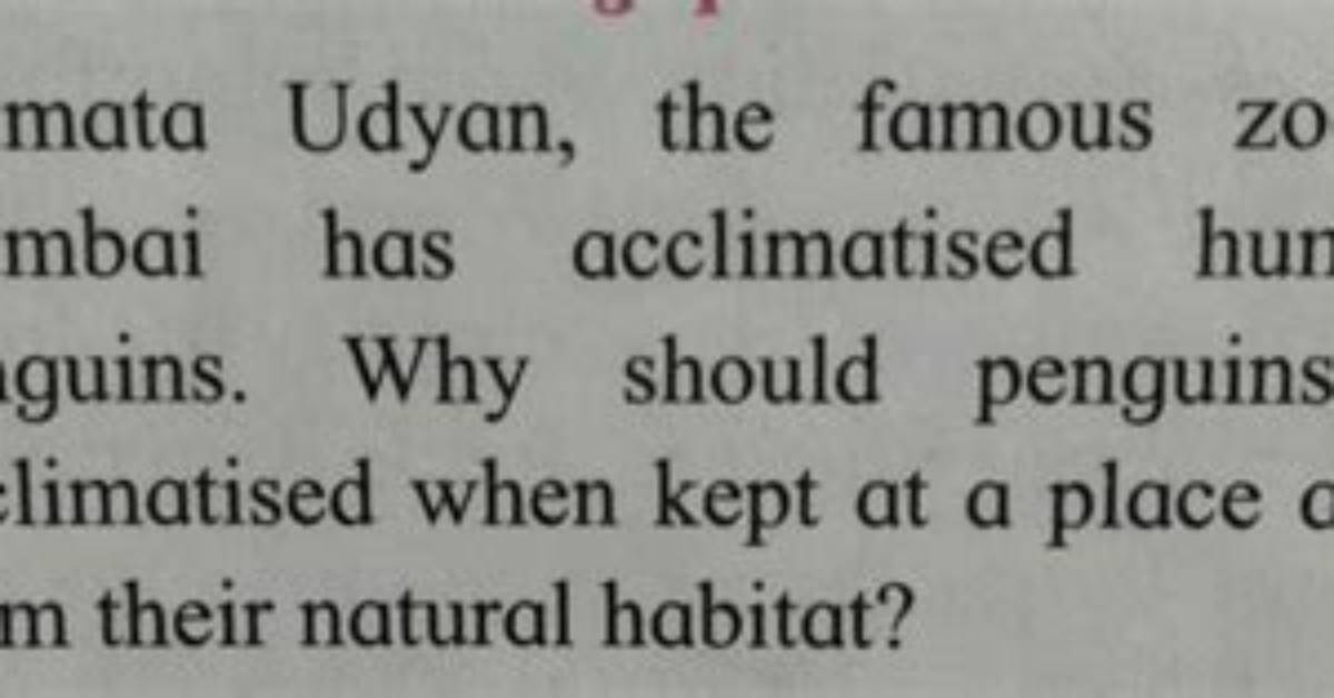 Why Does Acclimatized Mean?
