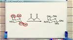 Why Does Acetylation Occur?