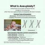 Why Does Aneuploidy Occur?
