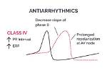 Why Does Antiarrhythmic Mean?
