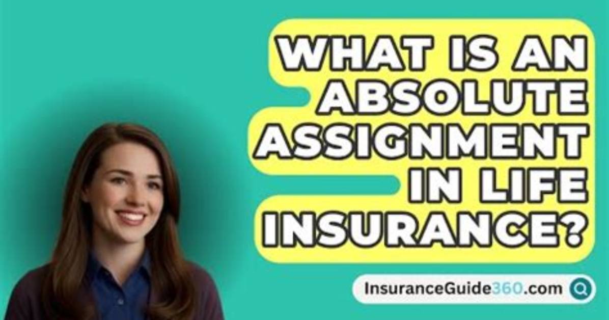 Why Does Assignee Mean?