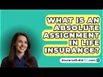 Why Does Assignee Mean?