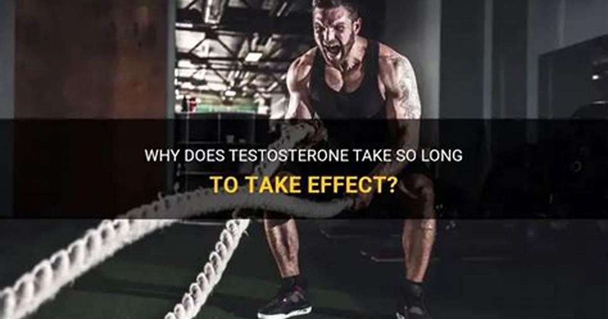 Why Does Aternos Take So Long?