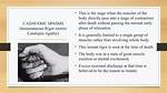 Why Does Cadaveric Spasm Occur?