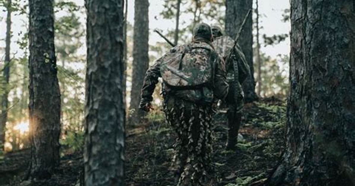 Why Does Camouflage Work?