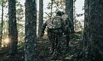 Why Does Camouflage Work?
