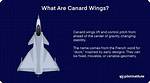Why Does Canard Mean?