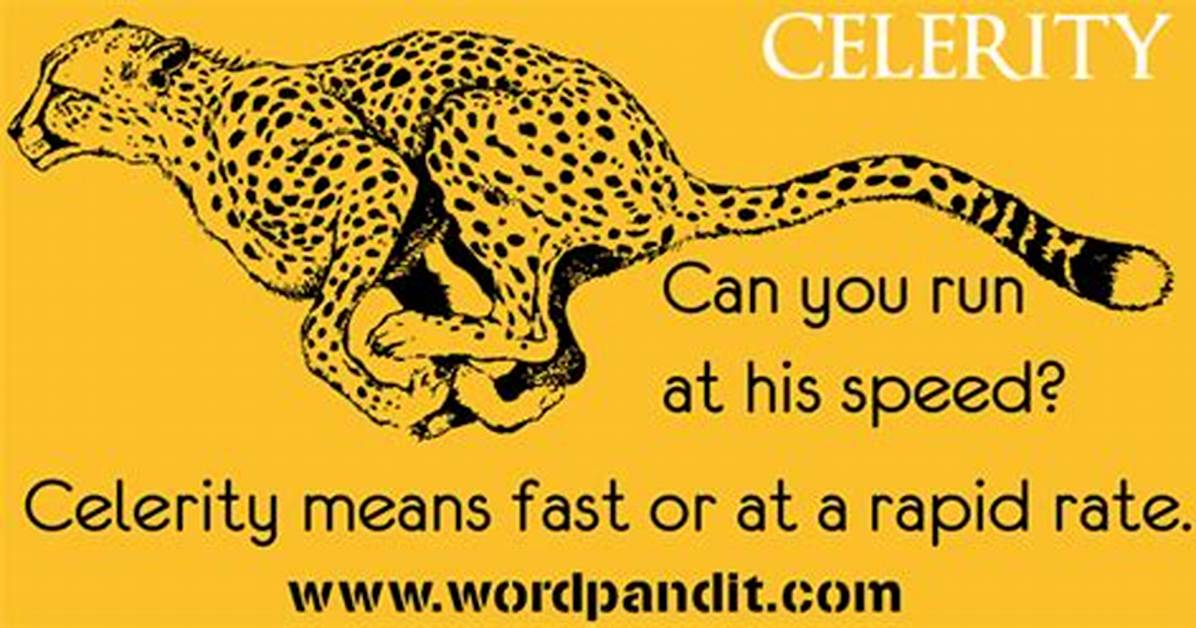 Why Does Celerity Mean?
