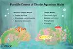 Why Does Cloudiness Mean?