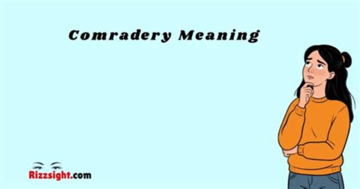 Why Does Comradery Mean?