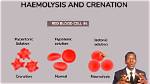 Why Does Crenation Occur?