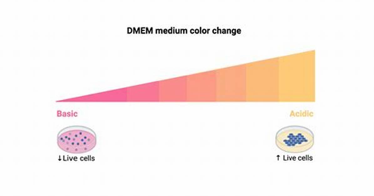 Why Does Dmem Turn Yellow?
