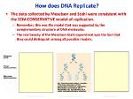 Why Does Dna Replicate Semiconservatively?