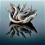 Why Does Driftwood Float?