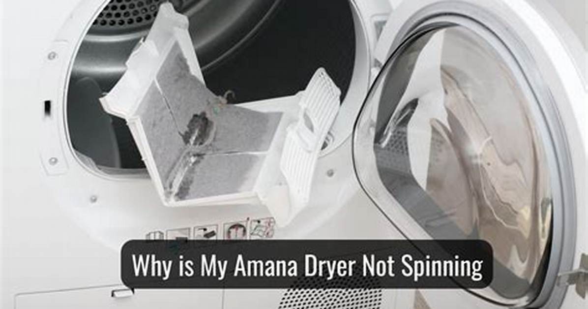 Why Does Dryer Not Spin?