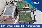 Why Does Ecm Need to Be Reprogrammed?