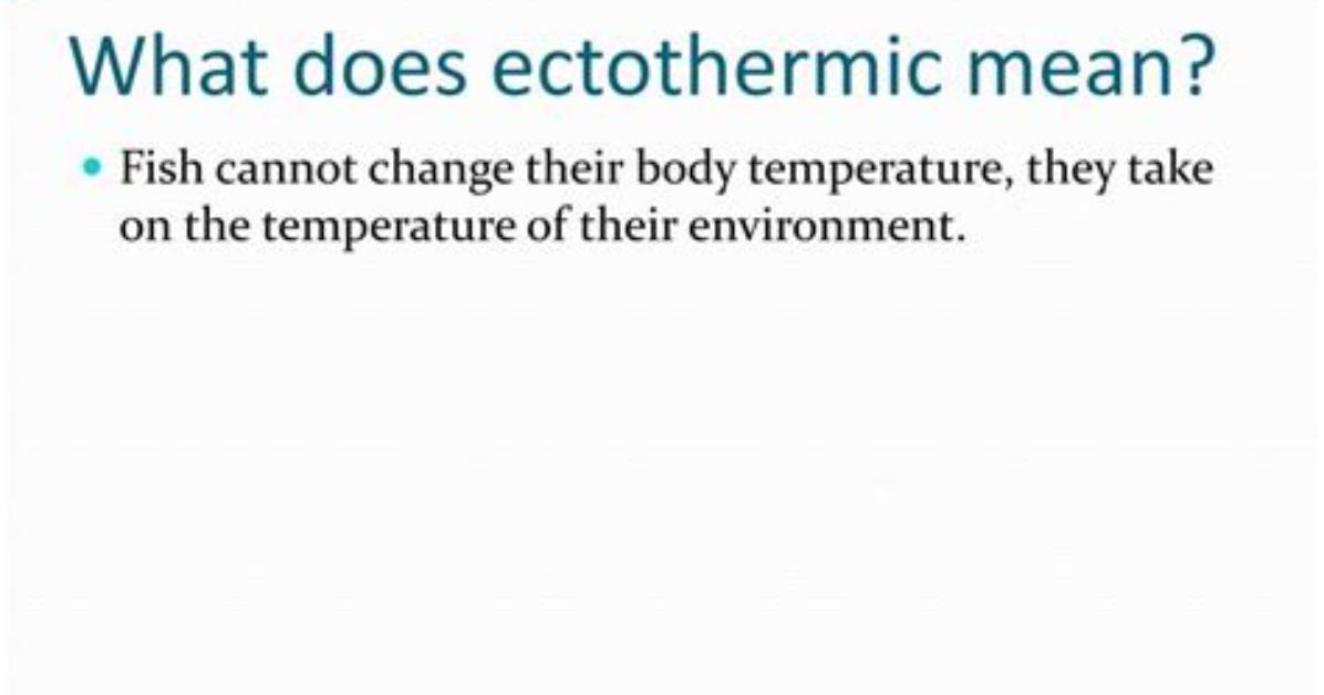 Why Does Ectothermic Mean?