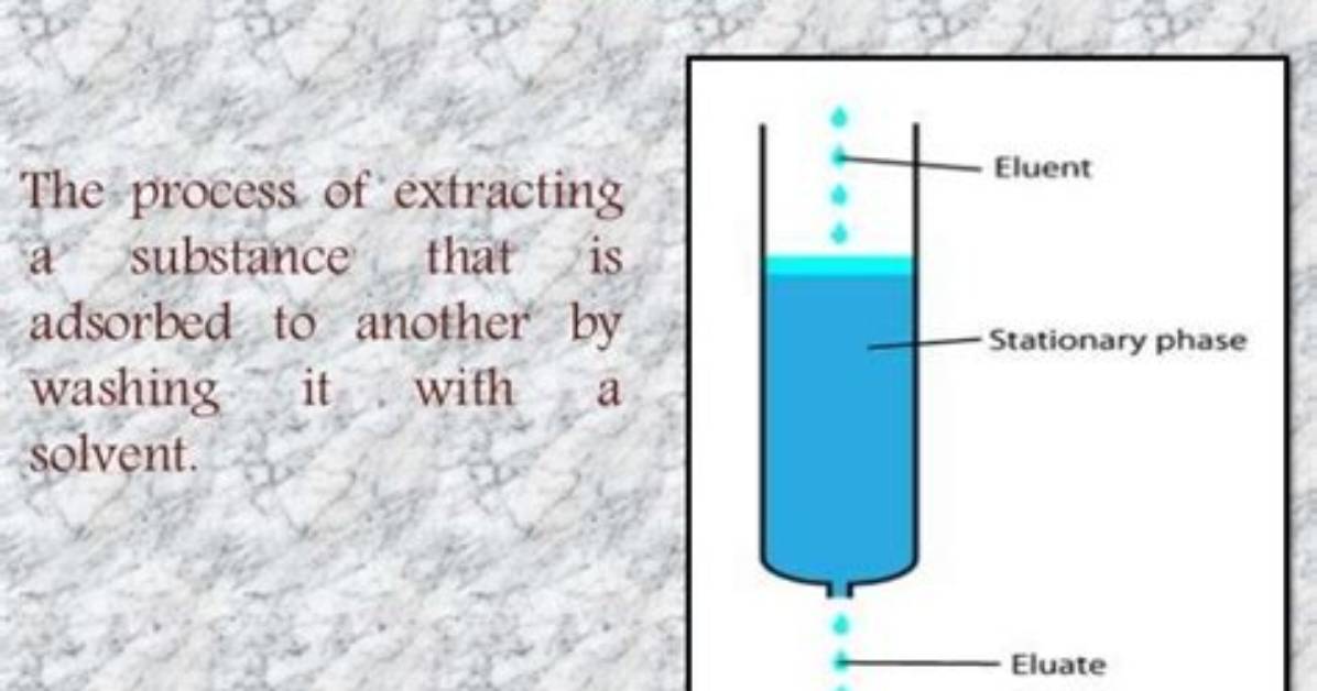 Why Does Elution Mean?