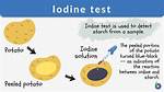 Why Does Glucose Not React with Iodine Test? Check This out | Iodine Test for Glucose