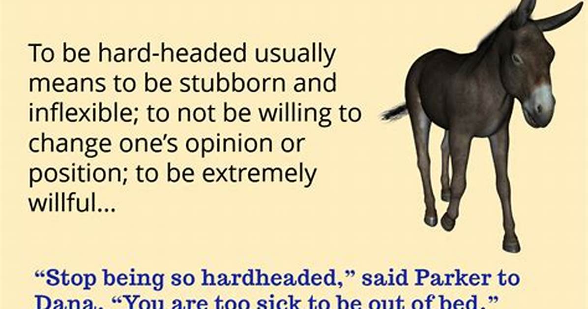 Why Does Hardheaded Mean?