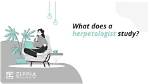 Why Does Herpetologist Mean?