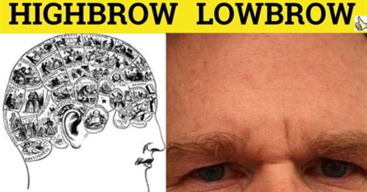Why Does Highbrow Mean?