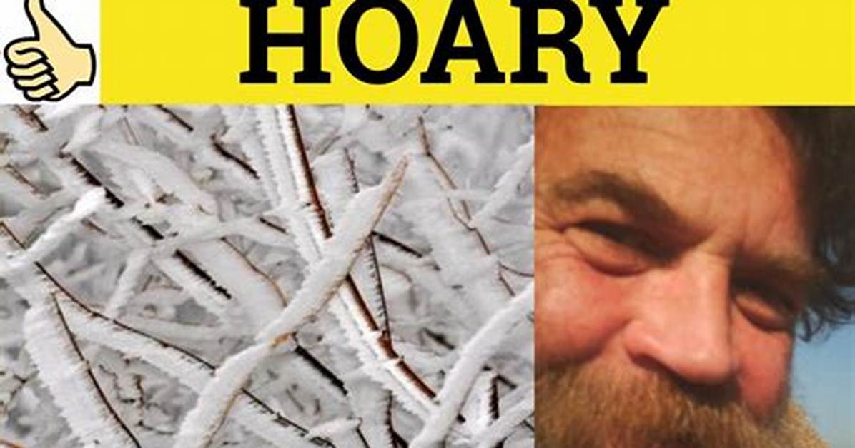 Why Does Hoary Mean?