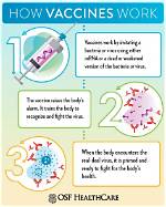 Why Does Immunization Work?