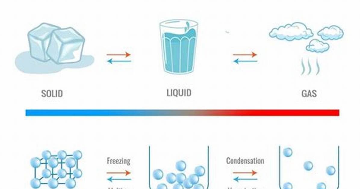 Why Does It Matter If a Graph Is a Function?
